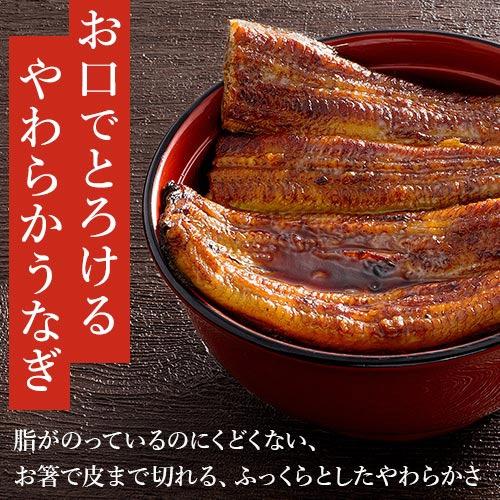 帰省土産 国産ふっくらうなぎ蒲焼3人前　 老舗デパ地下うなぎ屋の浜名湖山吹 送料無料