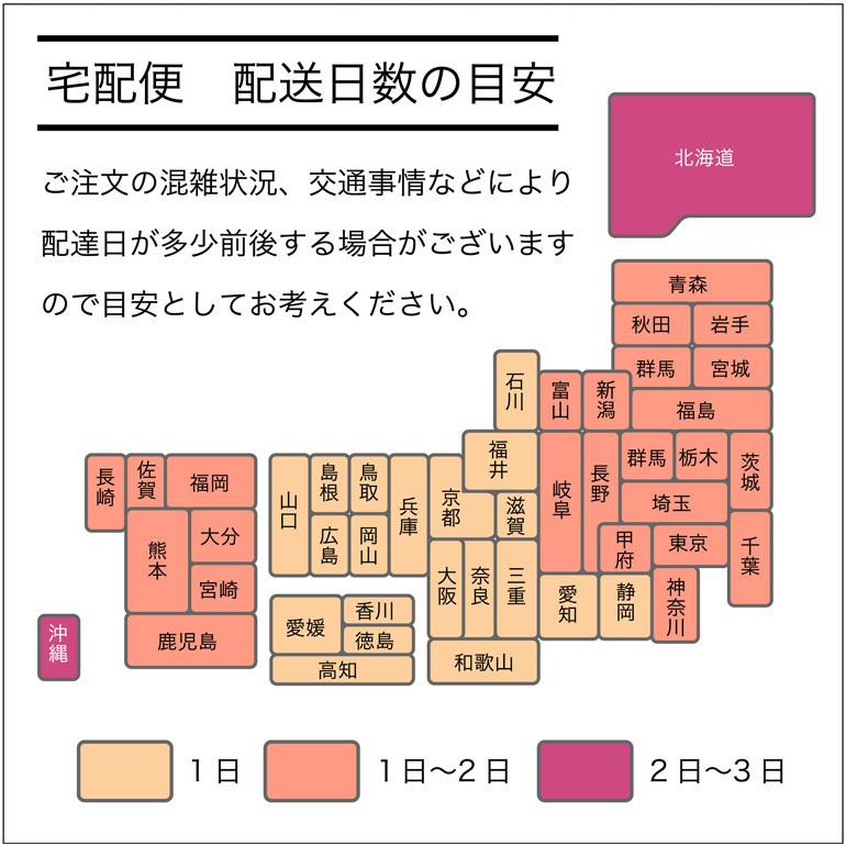 ななつぼし 10kg 北海道産 送料無料 一宮精米  米 お米 令和5年産