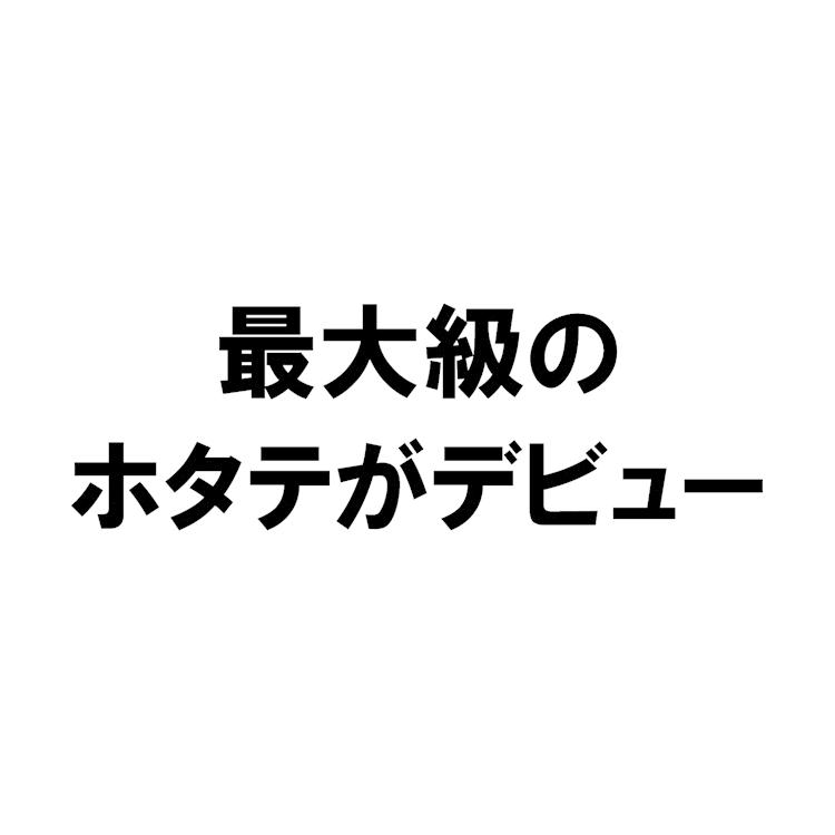 ホタテ 冷凍ホタテ貝柱 北海道産 ジャンボ 1kg 13-15粒入 大変希少な大玉の中でも更に希少 送料無料