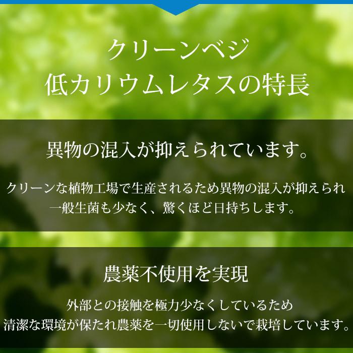 レタス クリーンベジの低カリウムレタス 6袋（約65g／1袋）