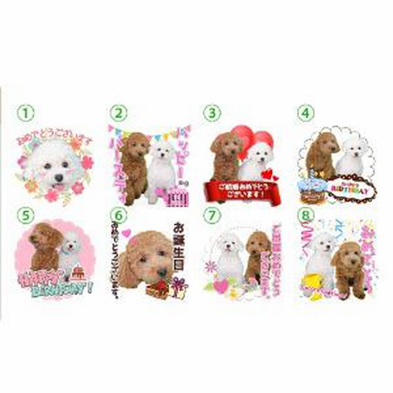 うちの子lineスタンプ イベントセット 写真でつくるオリジナルlineスタンプ 犬用 通販 Lineポイント最大1 0 Get Line ショッピング