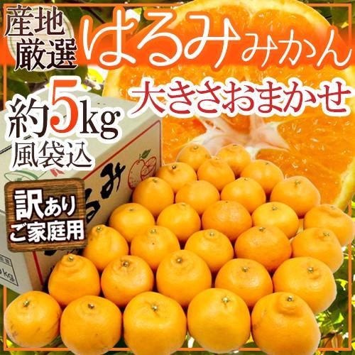 ”はるみみかん” 訳あり 風袋込約5kg 大きさおまかせ 産地厳選 送料無料