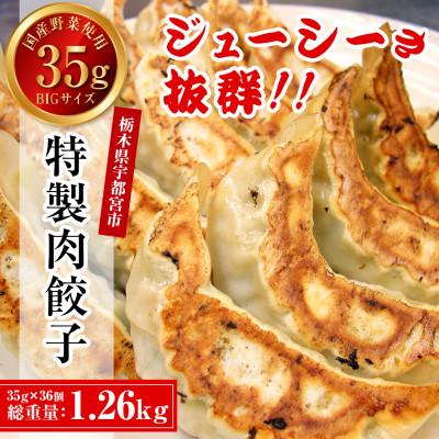 ふるさと納税 宇都宮市 宇都宮餃子専門店 悟空　特製肉餃子36個入