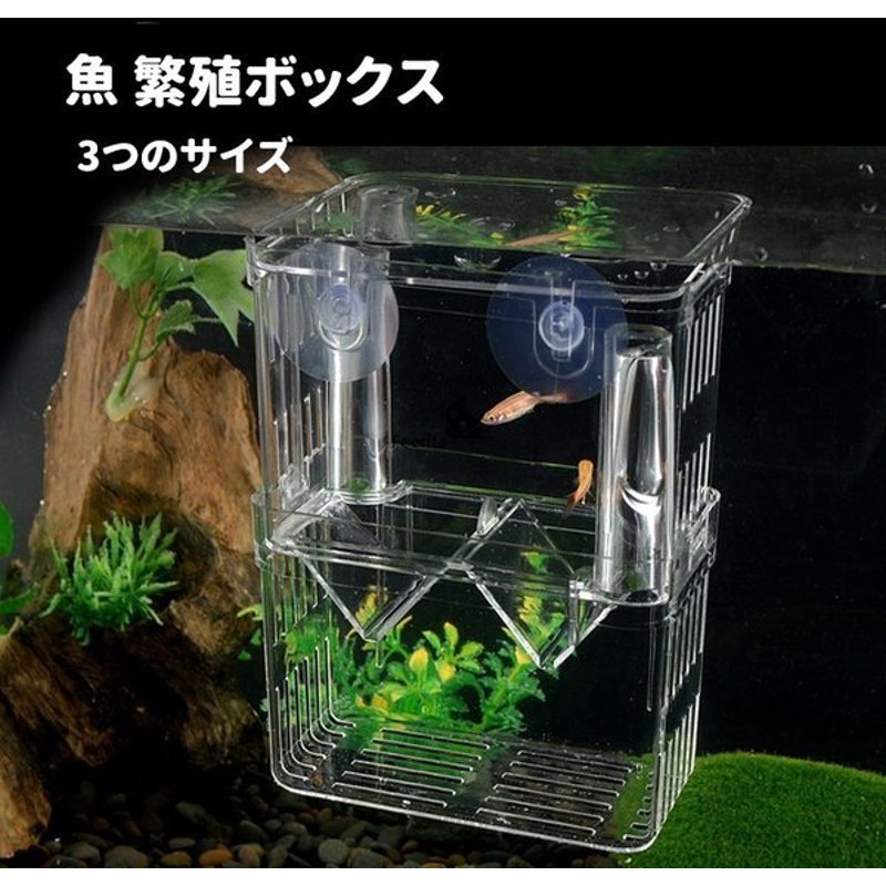 交換無料 コトブキ ワンルームハウス 熱帯魚 産卵箱 アクアリウム 飼育ケース デラックス 水槽