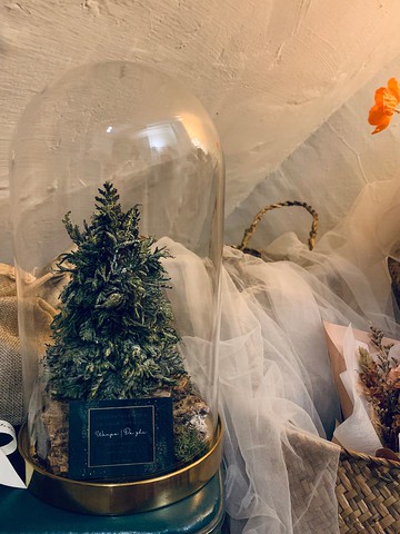 客製 永生聖誕樹盅罩 北歐風聖誕 玻璃盅罩