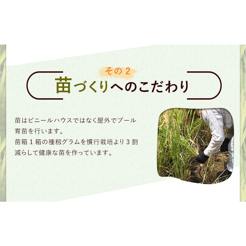 新米入荷 減農薬・無化学肥料栽培 コシヒカリ「福の舞」10kg（5kg×2） 送料無料 令和5年福井県産