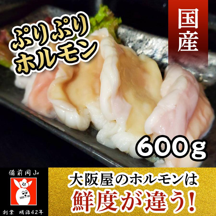 ぷりぷりホルモン（大トロホルモン）600ｇ 焼肉 バーベキュー  新鮮 贈答