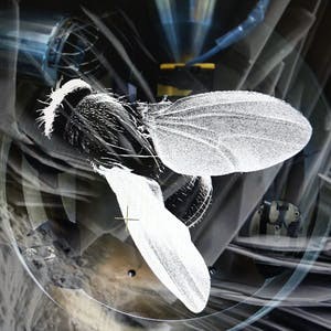 Técnicas Microscópicas de Caracterización