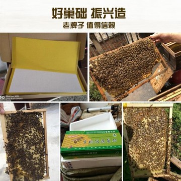 蜂巢中蜂巢礎蜂箱養蜂工具全套生物防病巢脾蜜蜂巢基蜂蠟極客玩家 台灣樂天市場 Line購物