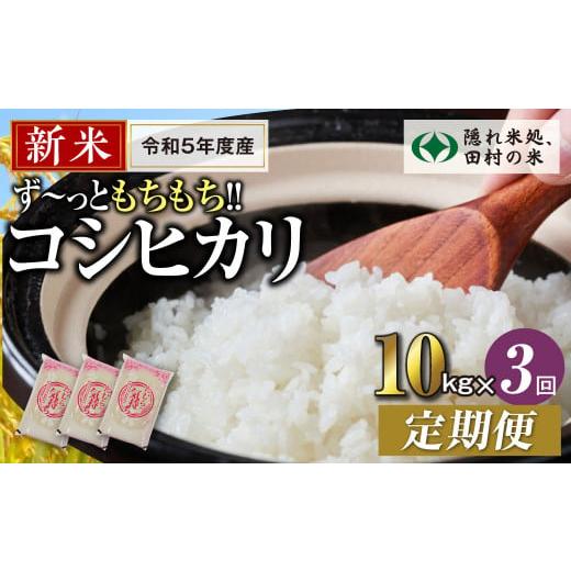 ふるさと納税 福島県 田村市 ＼ 年内発送 12／24(日)決済完了分まで！／定期便3回 田村産 コシヒカリ10kg お米 福島県 田村市 田村 贈答 …