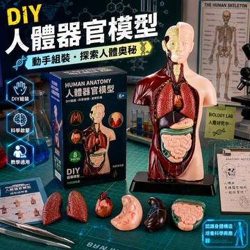 小廢物研究所 人體器官骨骼模型套裝｜DIY科學早教組裝玩具｜益智學生科教用品 仿真人體器官模型 器官模型 交換禮物 生日