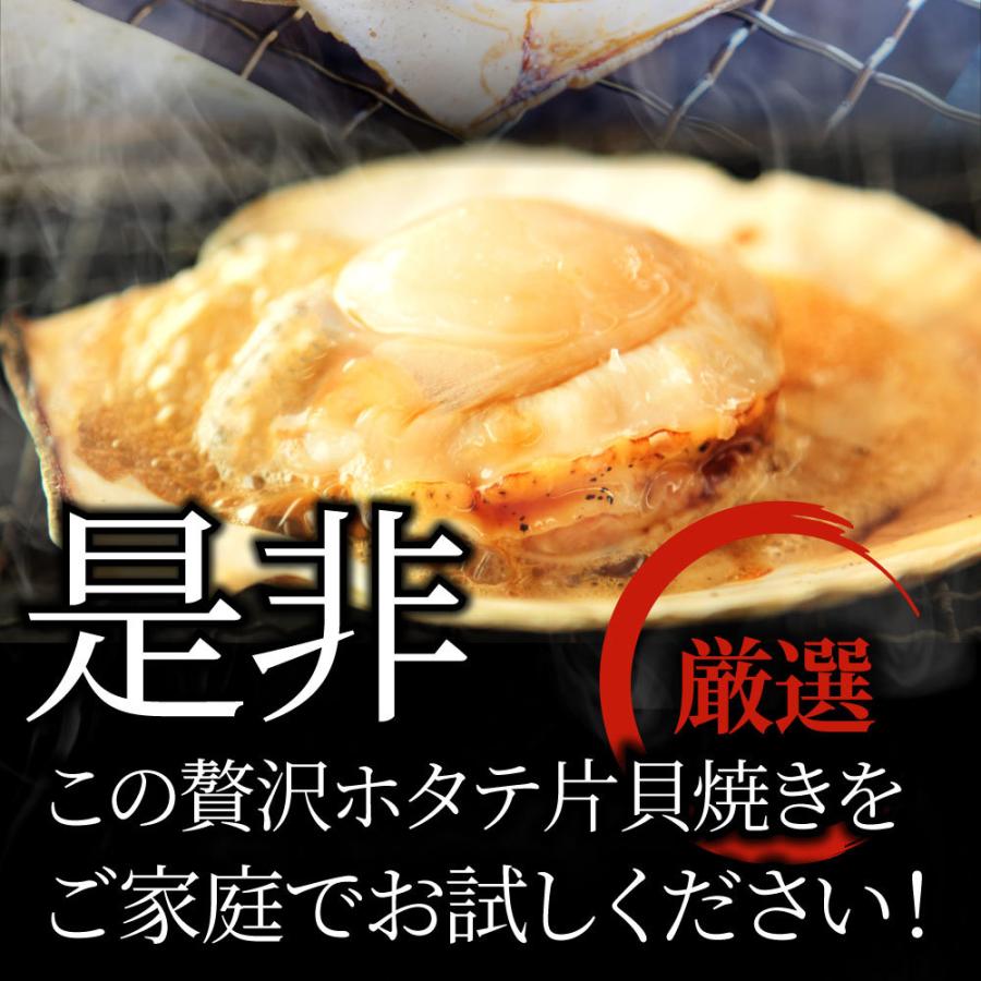 ホタテ ほたて 帆立 10枚入り 北海道産 バター焼き ほたて貝 バーベキュー BBQ 片貝 焼くだけ 業務用 国産 海鮮 シーフード 食品 グルメ 殻付き 送料無料