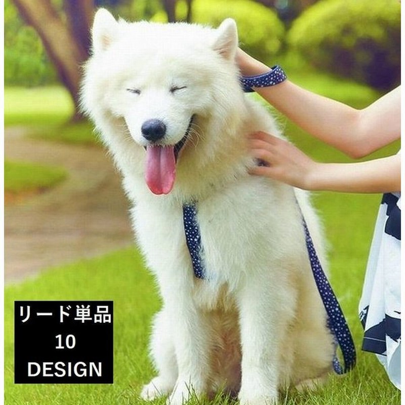 リード ロープ Dodopet 犬 小型犬 中型犬 大型犬 室内犬 外犬 単品 おしゃれ 種類豊富 かわいい お散歩 お出掛け おでかけ おさんぽ ペ 通販 Lineポイント最大0 5 Get Lineショッピング
