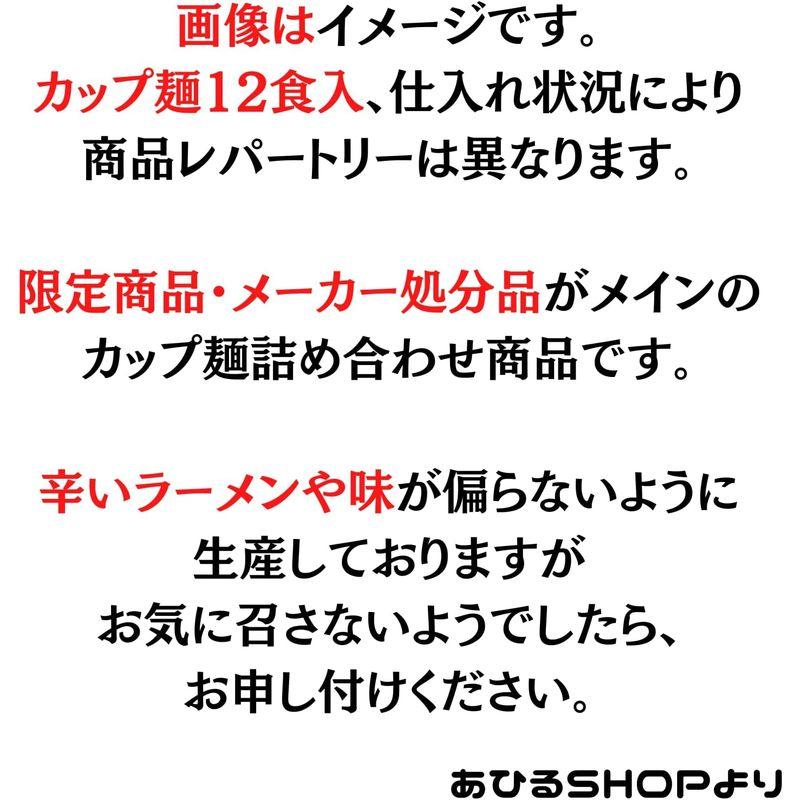 カップ麺 12種類12食 詰め合わせ Bセット (カップラーメン詰め合わせ)