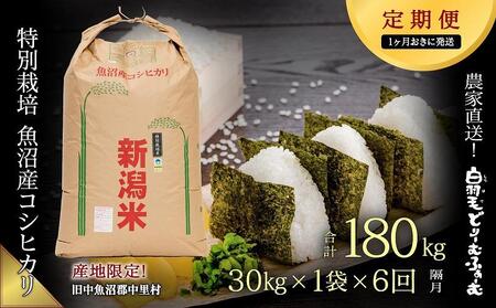 ≪令和5年産≫農家直送！魚沼産コシヒカリ特別栽培「白羽毛の米」玄米(30kg×1袋)×6回  計180kg