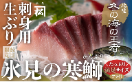 天然「生ひみ寒ぶり」刺身用 約800g〈アラ付き〉