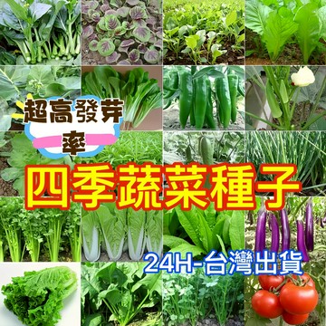 現貨多品種四季蔬菜種子（100粒）五十天可生長 可多次採摘 家庭蔬菜 雞毛菜 番茄 菜心上海青 空心菜 香菜 玉米 南瓜