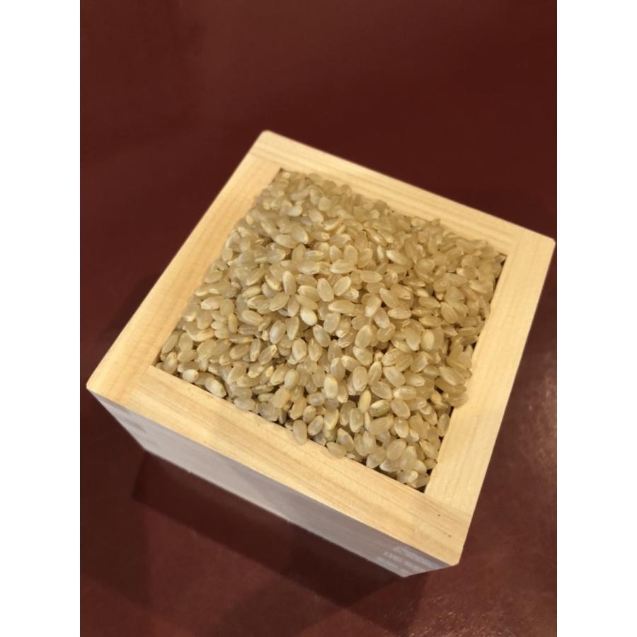 有機玄米（コシヒカリ）1kg 香川産  2021年産