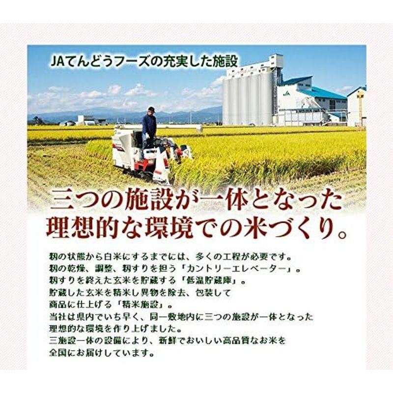 精米 山形県産 つや姫 精米 20kg（5kg×4袋） 令和4年産 rts2004