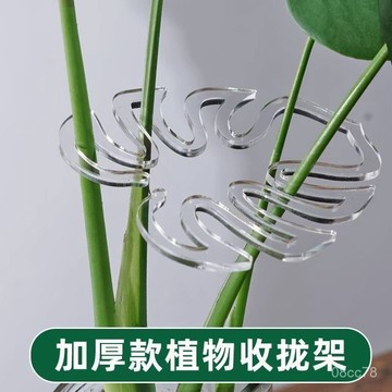 🦋夏日推薦🦋龜背竹支撐桿 枝幹收攏架防倒伏支架綠植固定塑料繩子 花支撐架  龜背竹支撐 植物支撐 ND30