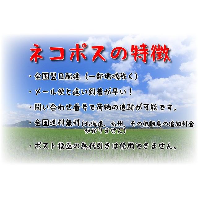 新米 米  お試し米 900g コシヒカリ 茨城県産 5年産 全国送料無料