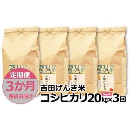 ふるさと納税 「吉田げんき米」コシヒカリ20kg（5kg×4） 島根県雲南市