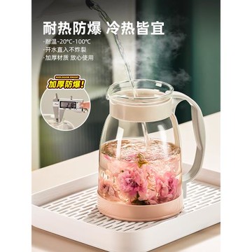 捷安璽冷水壺玻璃耐高溫涼水壺家用水杯儲水冷泡水果大容量泡茶壺