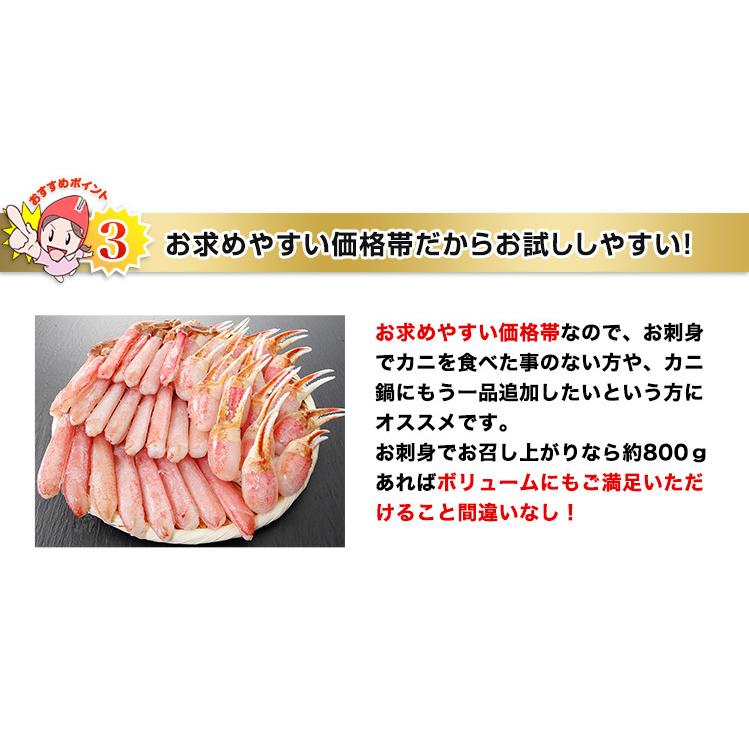 かに カニ 蟹 ズワイガニ ポーション 刺身 |L〜M生ずわい かにしゃぶ脚爪むき身（約800g）