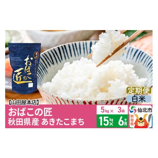 ふるさと納税 秋田県 仙北市 《定期便6ヶ月》令和5年産 仙北市産 おばこの匠 15kg×6回 計90kg 秋田県産あきたこまち 秋田こまち お米 6か月 6ヵ月 6…