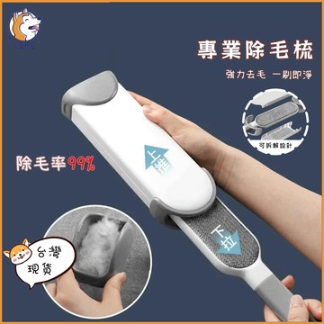 【隔日到貨】衣物刮毛器 除毛器 衣物去毛神器 除毛刷 刮毛刷 可拆解 兩用除毛刷 除貓毛 狗毛衣服起毛球粘毛神器雙面可用