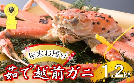 茹で越前ガニ食通もうなる本場の味をぜひ、ご堪能ください。約1.2kg以上 越前がに 越前かに 越前カニ カニ ボイルガニ