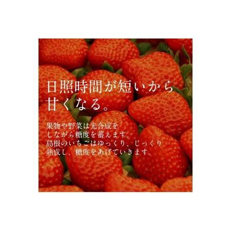 ふるさと納税 いちご 紅ほっぺ 4パックセット 島根県安来市