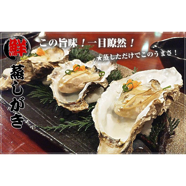 カキえもん(Lサイズ)10個セット 北海道厚岸産 牡蠣 殻付き 生食 お歳暮