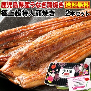 ポイント5％ 母の日  プレゼント グルメ ギフト うなぎ 蒲焼き  国産 鹿児島産 送料無料 超特大蒲焼2本セット 約220g×2 クール