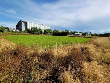 中壢過嶺近好市多大面寬農地｜桃園市中壢區過嶺段