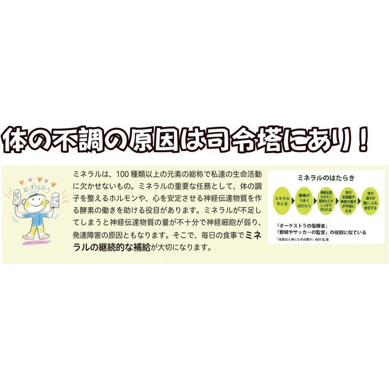 安全すたいる 天然だし調味粉 500g 無添加 粉末だし 国産原料100% (いわし煮干し   焼あご   昆布) (×1袋)