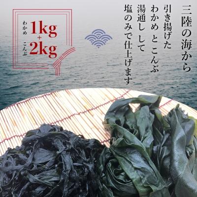 ふるさと納税 石巻市 三陸産わかめ1kg・こんぶ2kg(塩蔵)