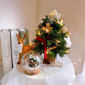 快速出貨)永生花 乾燥 永生雪松 聖誕樹 璀璨金 聖誕禮盒 禮物