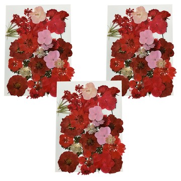 A-ONE 匯旺 真花壓花大包-紅樓夢園 CC03  3入  1個