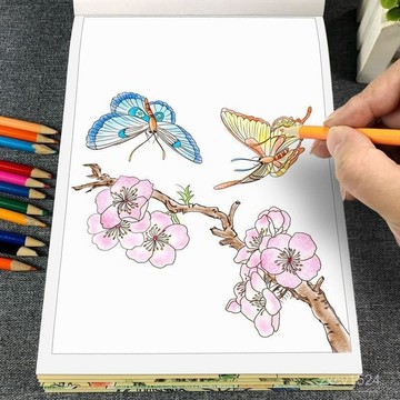 🎆臺灣夯貨✨畫白描描摹本初學者花鳥魚蟲工筆畫素描風勾綫臨摹畫本 DPZN Z258