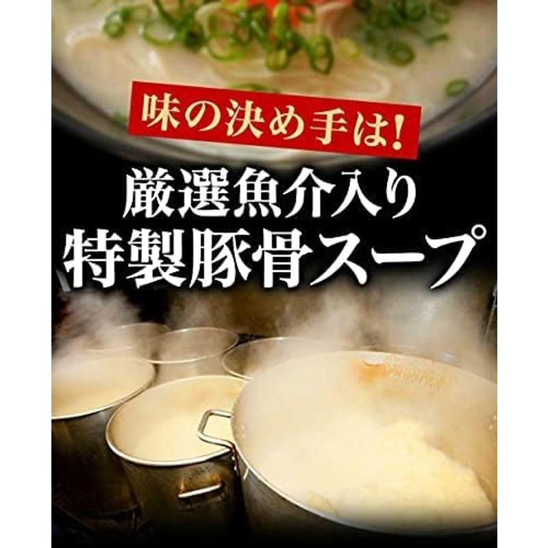 博多 とんこつ ラーメン 6人前 豚骨 煮干し 魚介 お取り寄せ グルメ