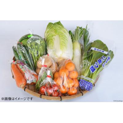 ふるさと納税 雲仙市 島原半島産こだわり旬の野菜セット10品〜12品