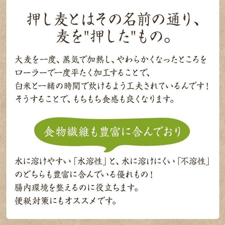 押し麦 800g 岩手県産 大麦 押し麦 国産