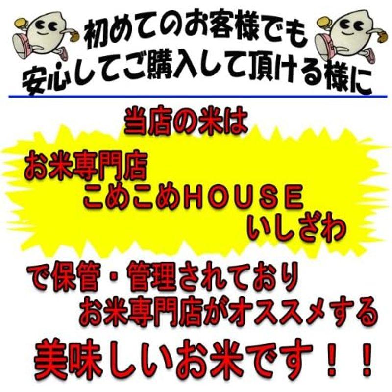 精米山形県産 白米 あきたこまち 20kg 令和4年産