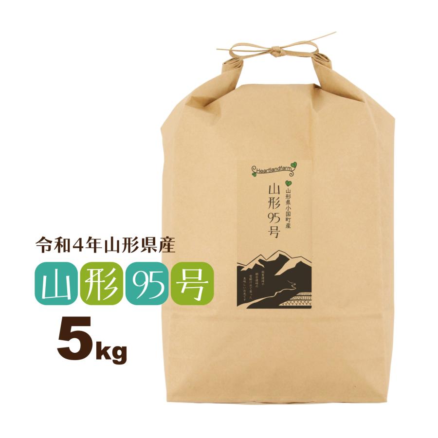 新米 5kg お米 山形95号 山形県 令和5年産 送料無料（一部地域を除く） 精白米