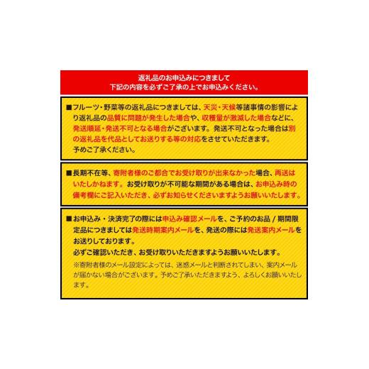 ふるさと納税 和歌山県 日高川町 紀州有田産の大玉デコポン約5kg(12玉〜15玉入り・青秀以上) 厳選館 《1月上旬-4月上旬頃より順次出荷》和歌山県 …