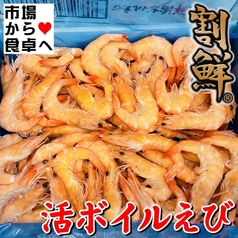 活ボイルえび 2kg Mサイズ(約100尾入り) 「割鮮えび」は、活海老原料にこだわり、鮮やかな色目を実現しています