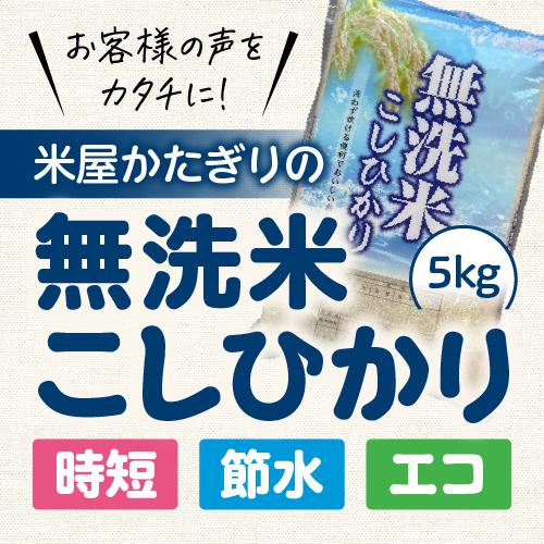 新米 令和5年産 無洗米 5kg 送料無料 コシヒカリ 新潟 あすつく 米 5キロ 新潟県産 こしひかり 美味しい お米 白米 おいしいお米