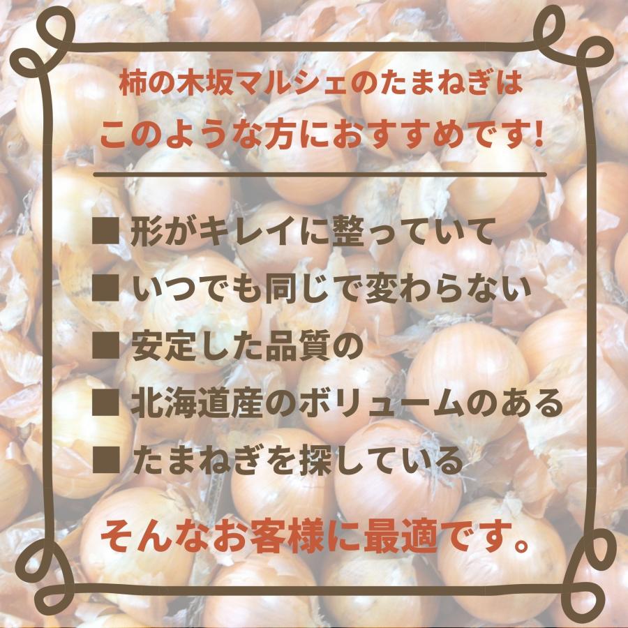 柿の木坂マルシェ たまねぎ 北海道県産 秀品 L大サイズ ２０ｋｇ