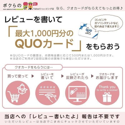 住化農業資材 潅水チューブ 巻取機 スミレイン用巻取機-C型 一輪車型